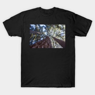 Tree Hugger T-Shirt